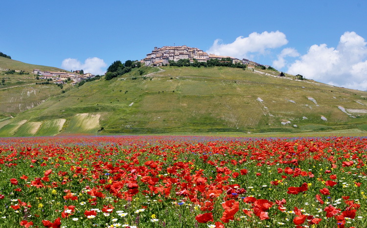 Monti Sibillini